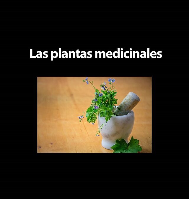 Monográfico "Las plantas medicinales"