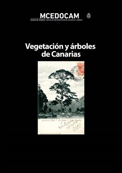 Vegetación y árboles de Canarias